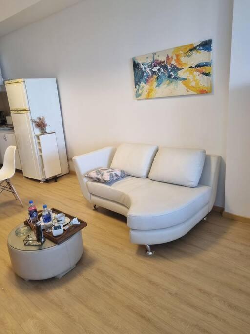 Genial Departamento En El Centro De La Ciudad * Buenos Aires